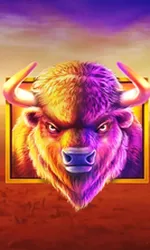 Buffalo King